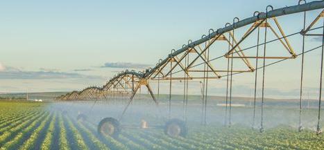 Irrigation